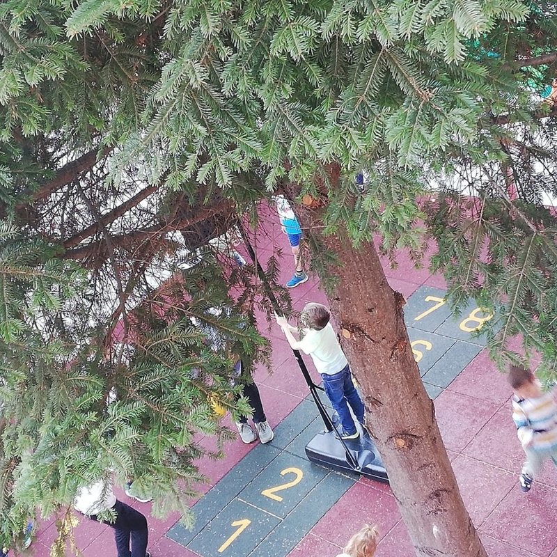 Apple Tree Kindergarten, Gradinita